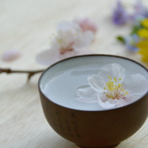 Dégustation de SAKÉ du 24/03/2023