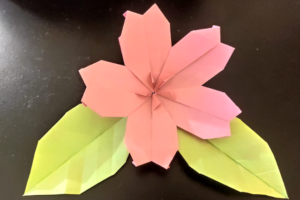 atelier origami sakura