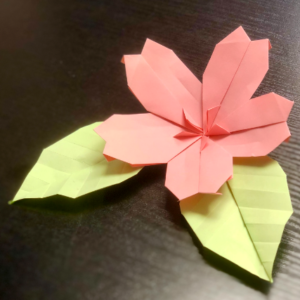 atelier origami sakura