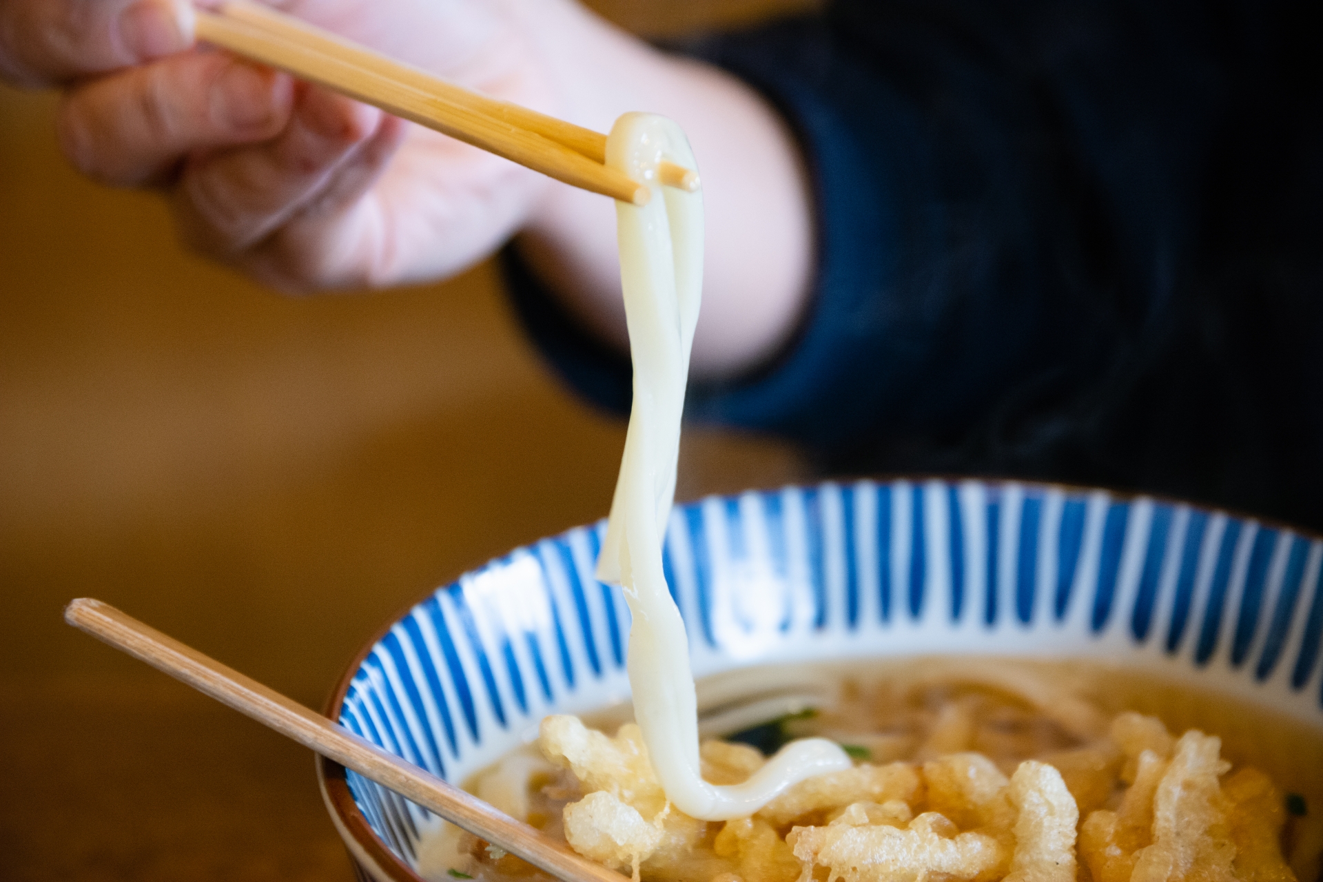 goboten udon