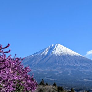 Cours de japonais pour les voyageurs du 14/03/2026