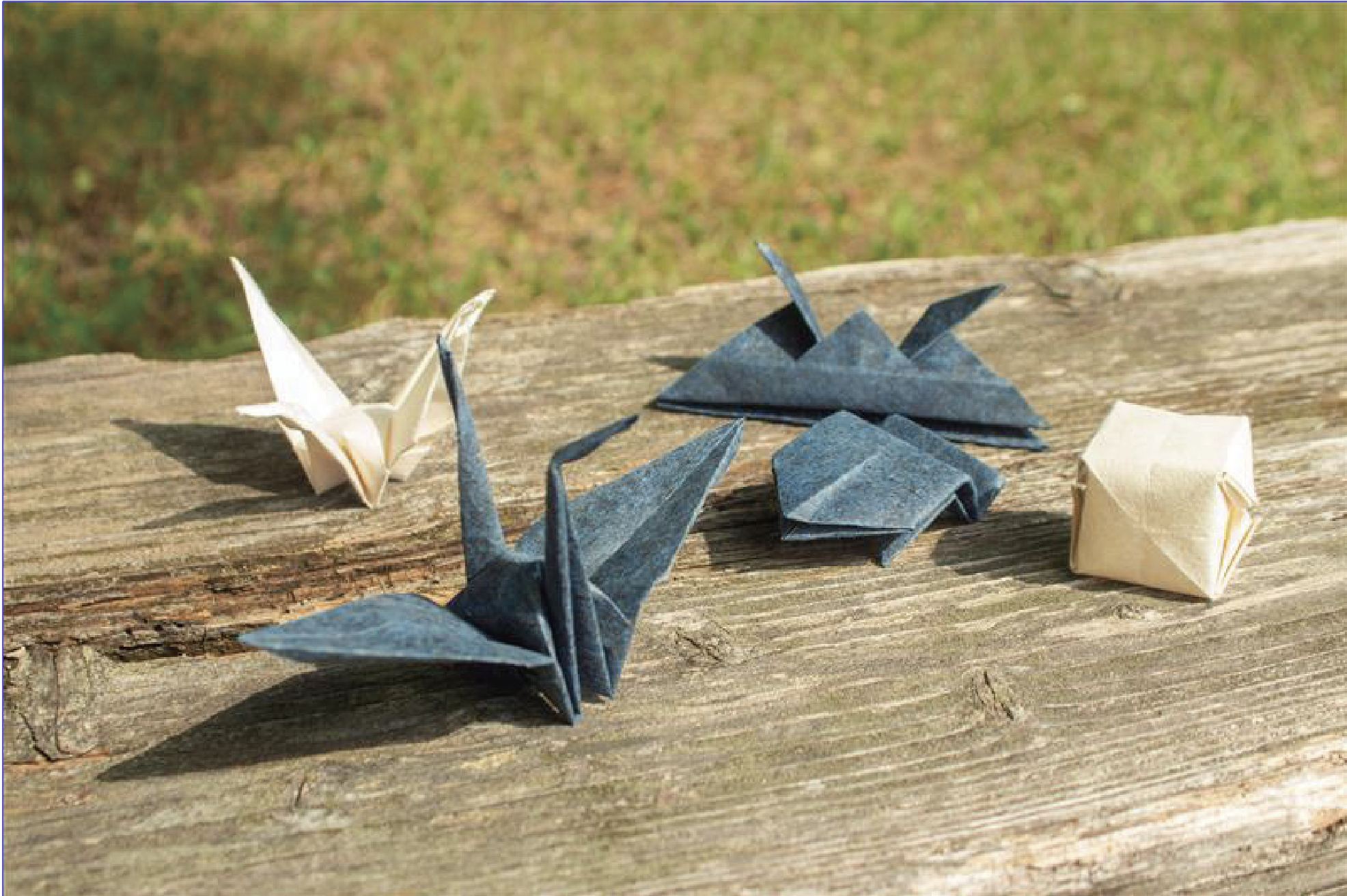 workshopOrigami