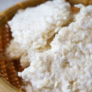 koji fermentation japonaise