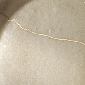 kintsugi