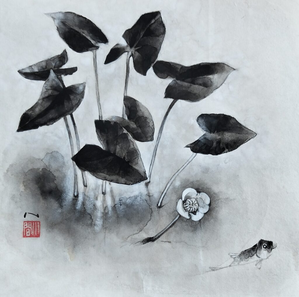dessin des feuilles Oplus réalisé à l'encre de chine