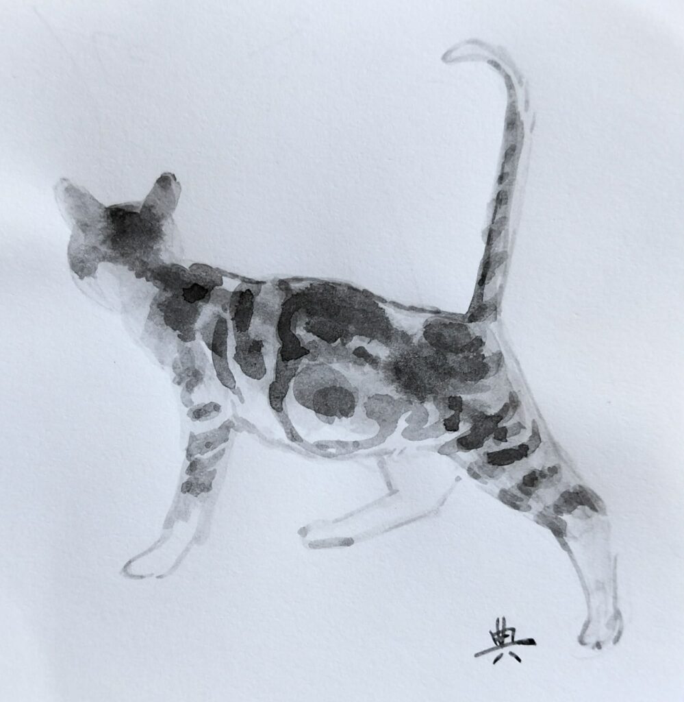 un chat dessiné à l'encre de chine